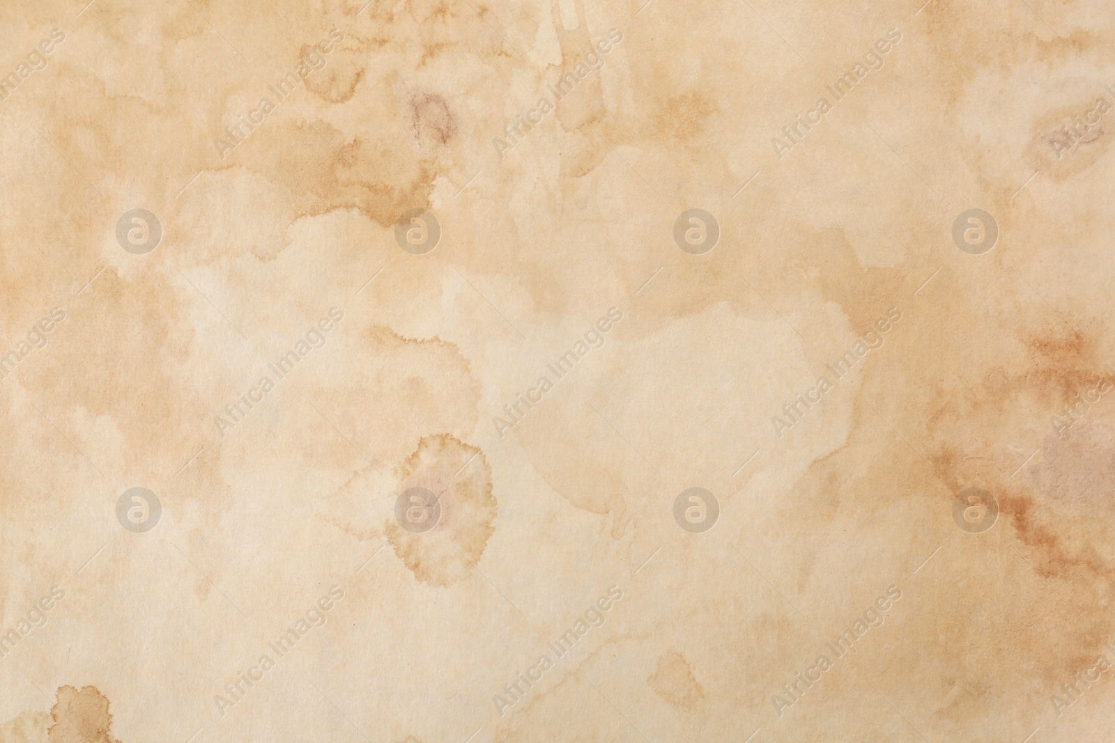 Photo of Sheet of parchment paper as background, top view