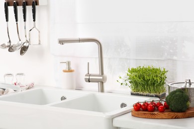 Photo of Kitchen counter with sinks, utensils and vegetables
