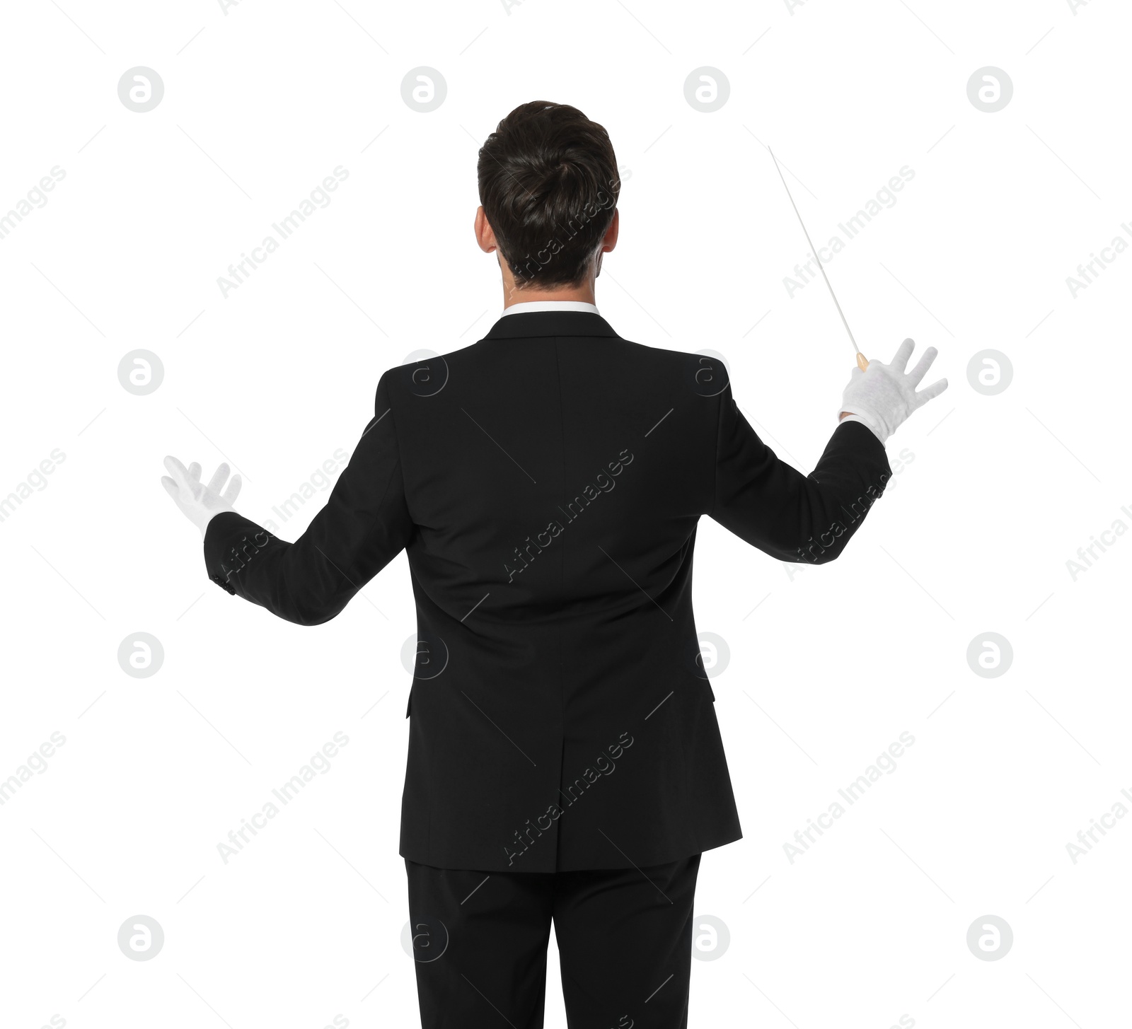 Photo of Professional conductor with baton on white background, back view