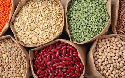 Photo of Different types of legumes and cereals in paper bags, top view. Organic grains