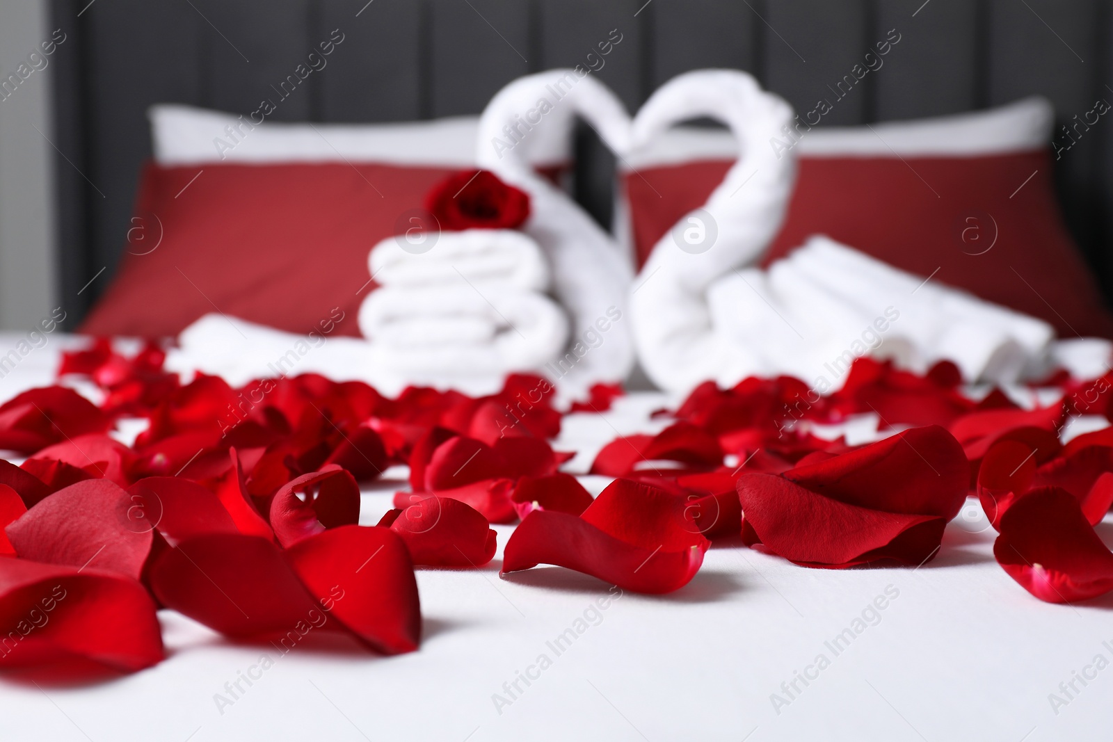 Photo of Honeymoon. Swans made with towels and beautiful rose petals on bed, selective focus