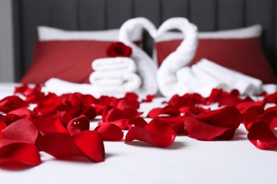 Honeymoon. Swans made with towels and beautiful rose petals on bed, selective focus