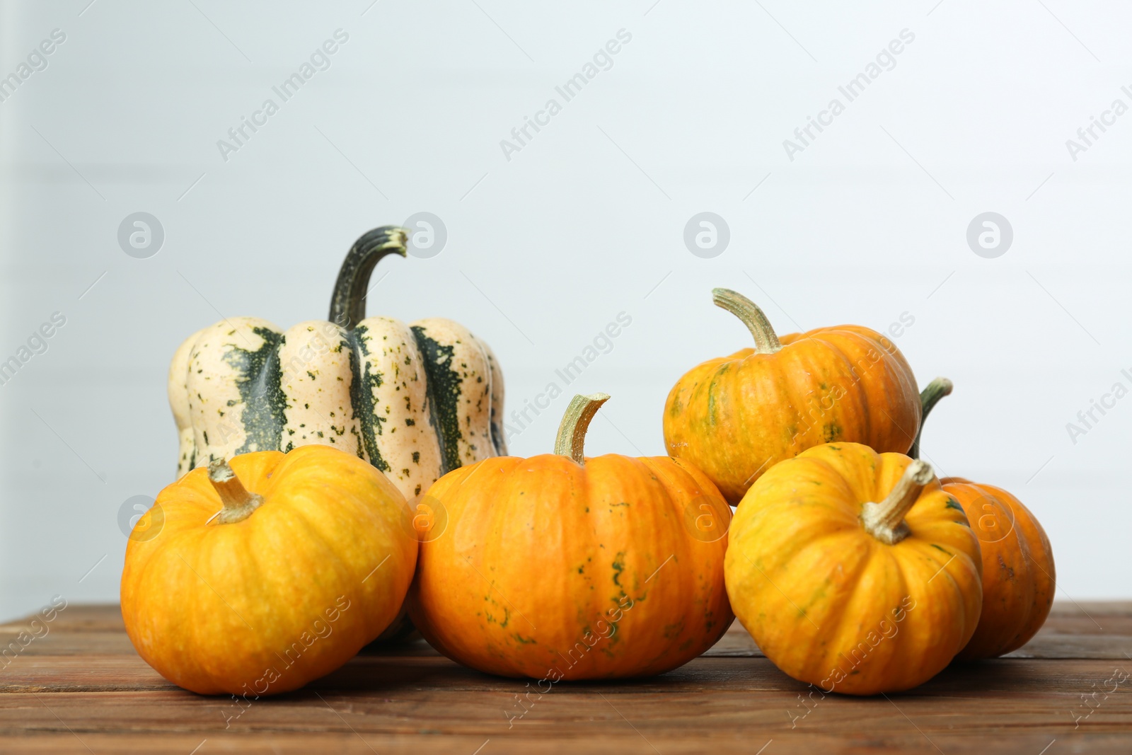 Photo of Thanksgiving day. Many different pumpkins on wooden table