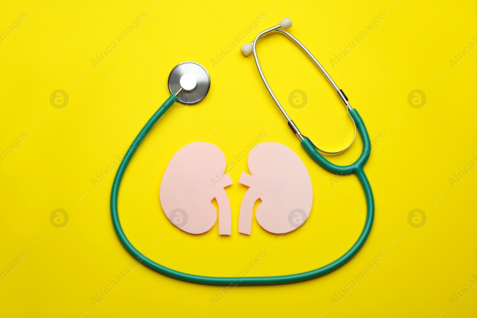 Photo of Paper cutout of kidneys and stethoscope on yellow background, flat lay