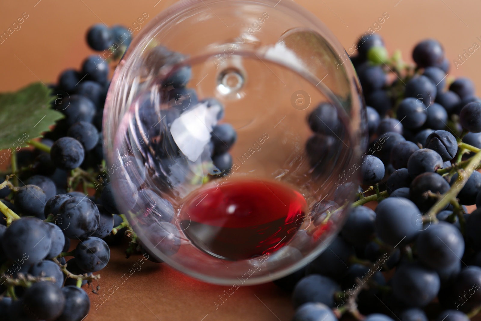 Photo of Overturned glass with red wine and grapes on brown background, closeup