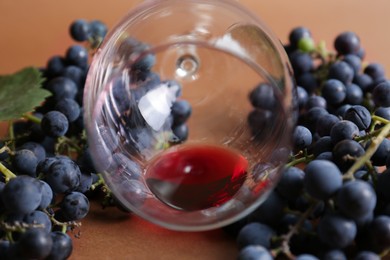 Photo of Overturned glass with red wine and grapes on brown background, closeup