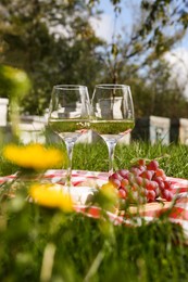 Photo of Glasseswhite wine and snacks for picnic served on blanket near apiary