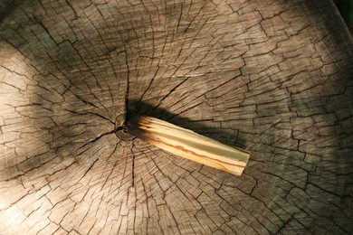Photo of Burnt palo santo stick on wooden stump, top view