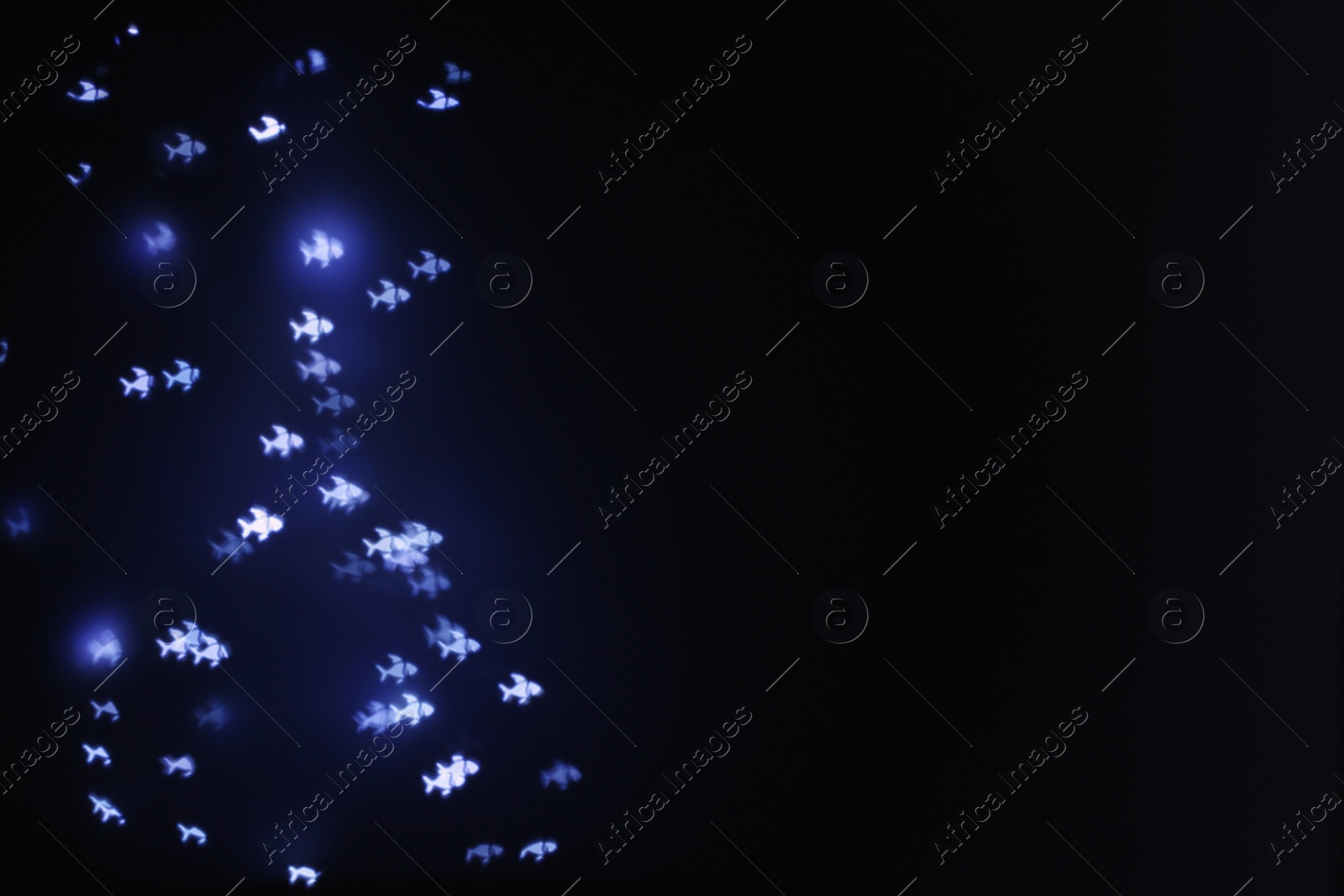 Photo of Beautiful fish shaped lights on dark background, space for text