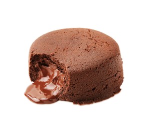 One delicious chocolate fondant isolated on white