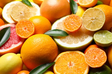 Photo of Different ripe citrus fruits with green leaves as background, closeup