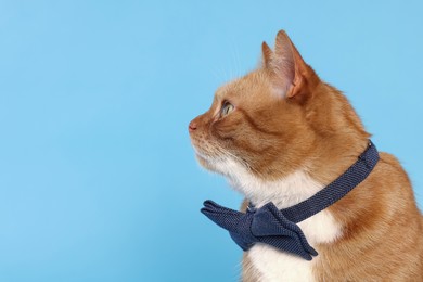 Photo of Cute cat with bow tie on light blue background. space for text