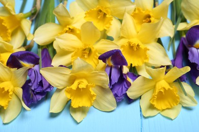 Photo of Beautiful yellow daffodils and iris flowers on light blue wooden table, closeup