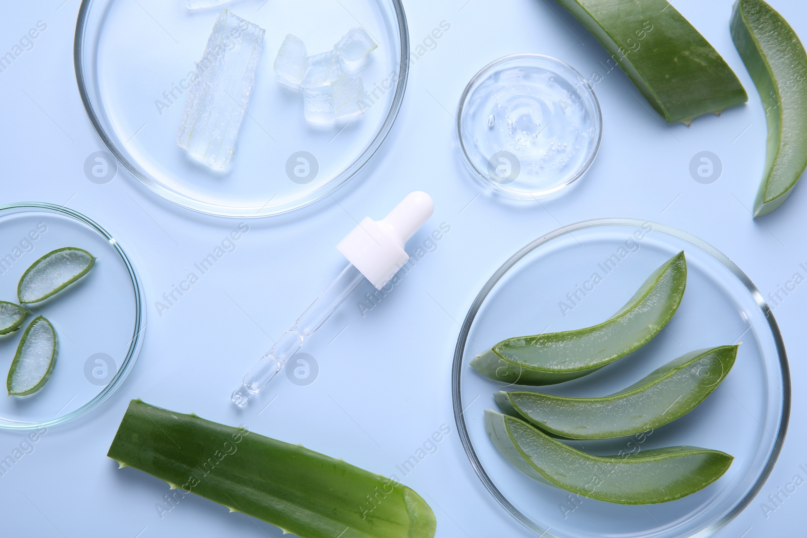 Photo of Flat lay composition with aloe vera leaves and cosmetic gel on light blue background