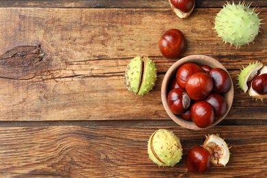 Photo of Horse chestnuts on wooden table, flat lay. Space for text