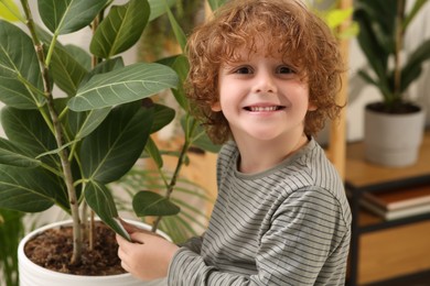 Photo of Little boy wiping plant's leaves with cotton pad at home. House decor