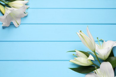 Beautiful white lily flowers on light blue wooden table, flat lay. Space for text