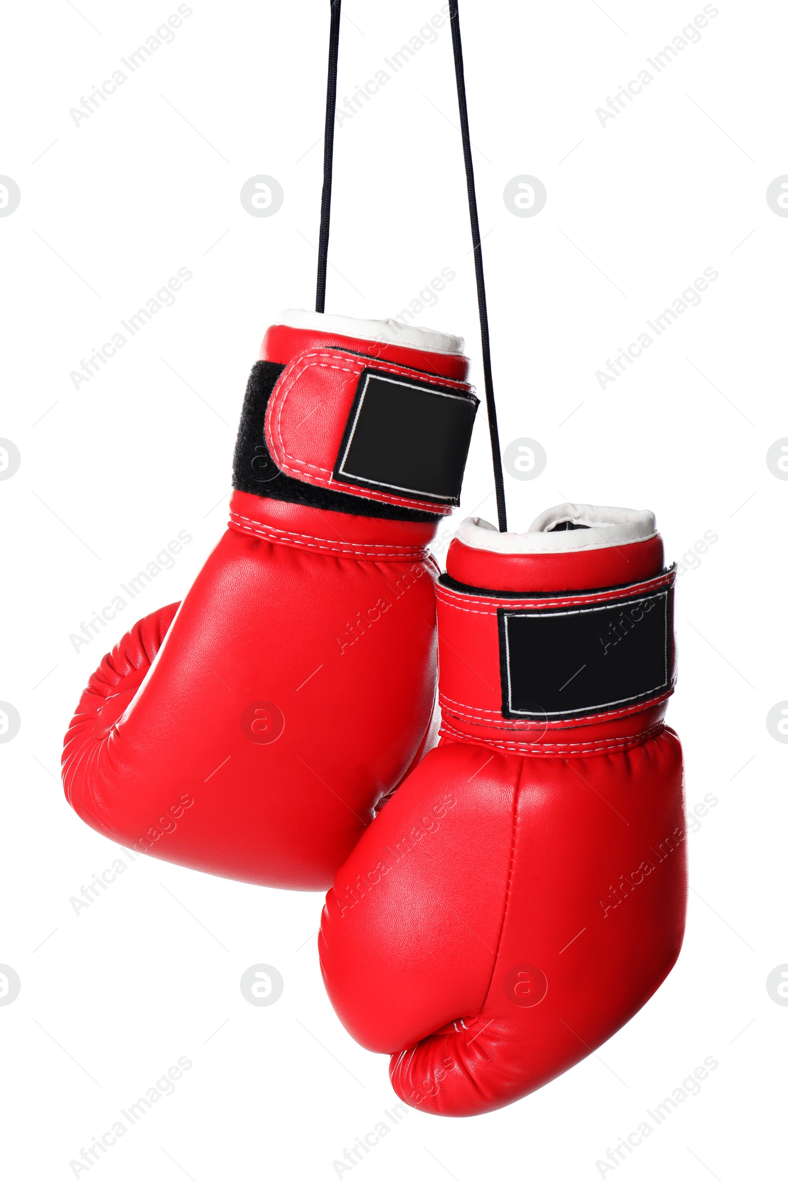 Photo of Pair of boxing gloves on white background