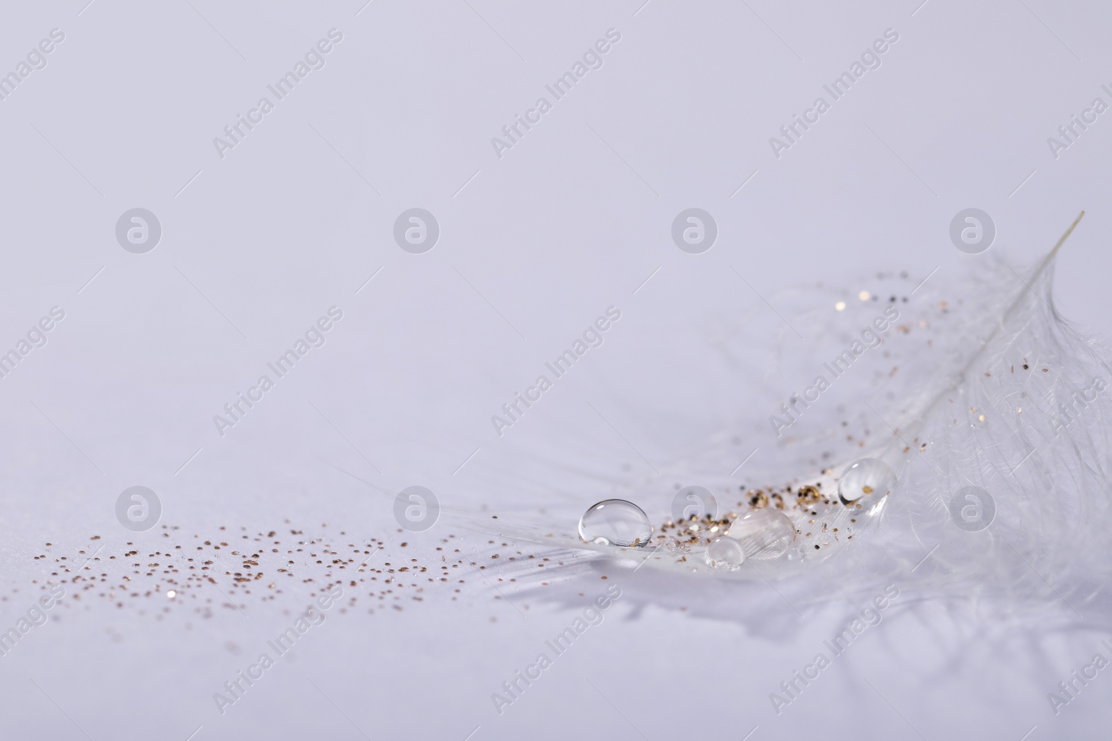 Photo of Closeup view of beautiful feather with dew drops and glitter on white background, space for text