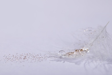 Closeup view of beautiful feather with dew drops and glitter on white background, space for text
