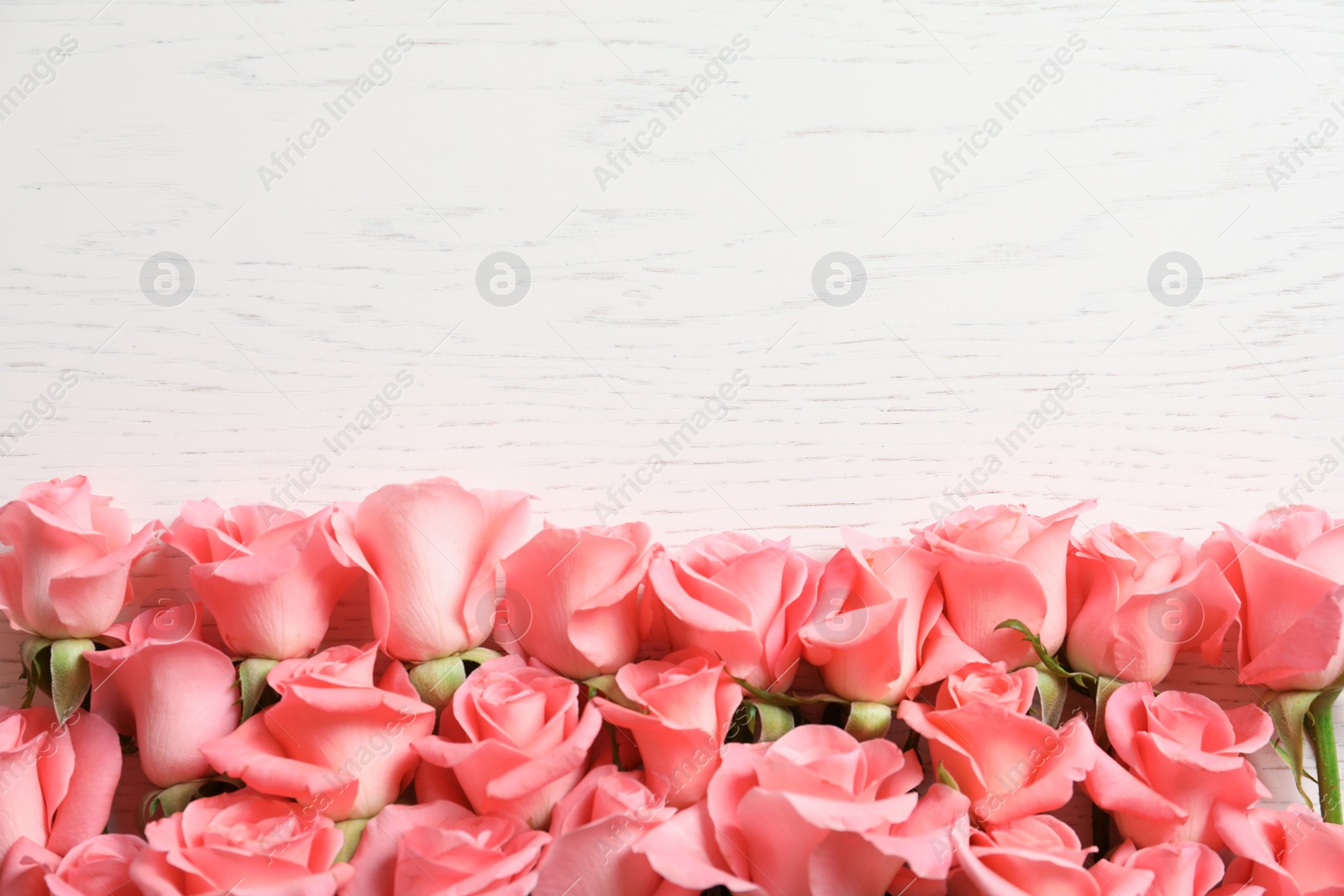 Photo of Beautiful roses on wooden table