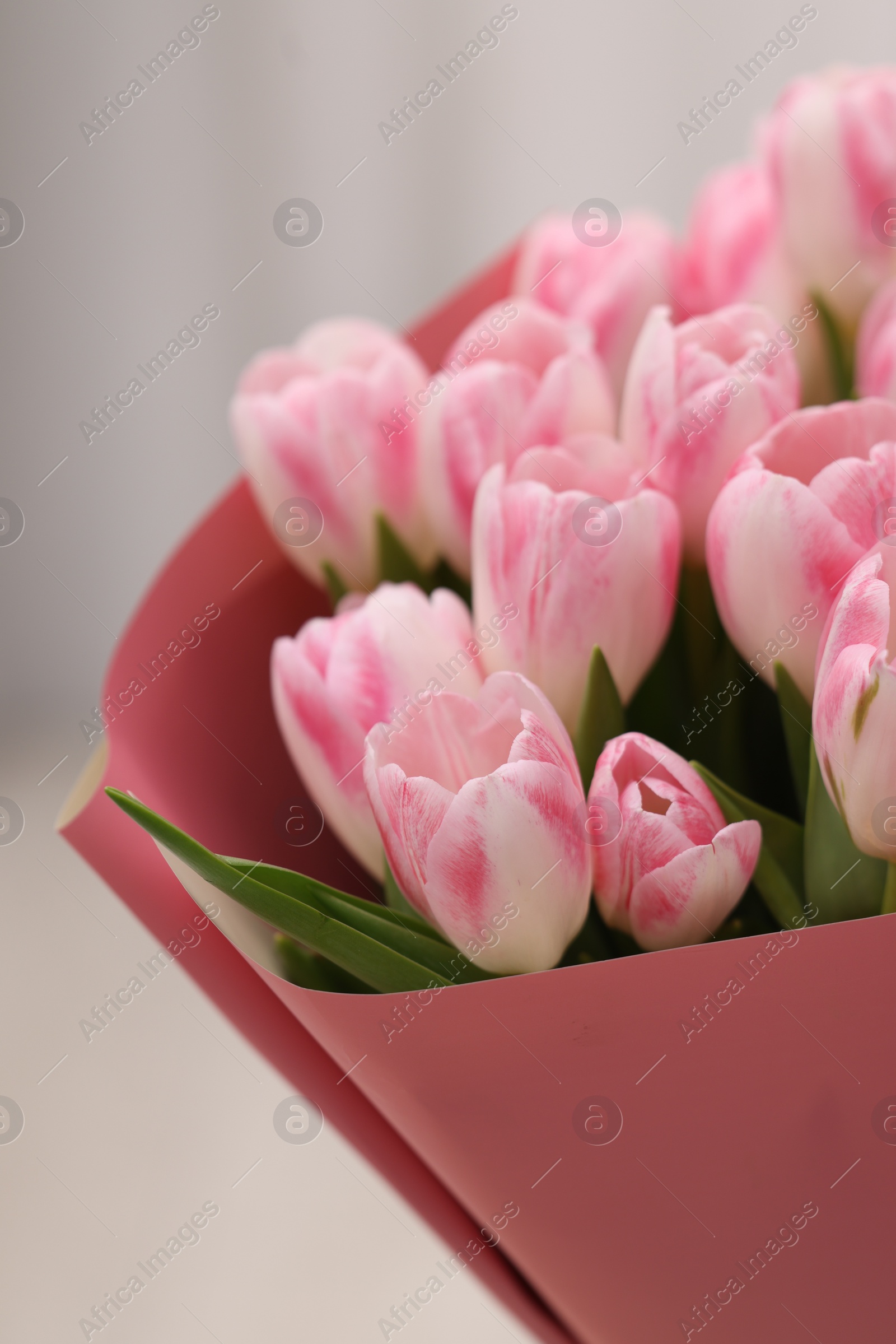 Photo of Beautiful bouquet of fresh pink tulips on blurred background, closeup