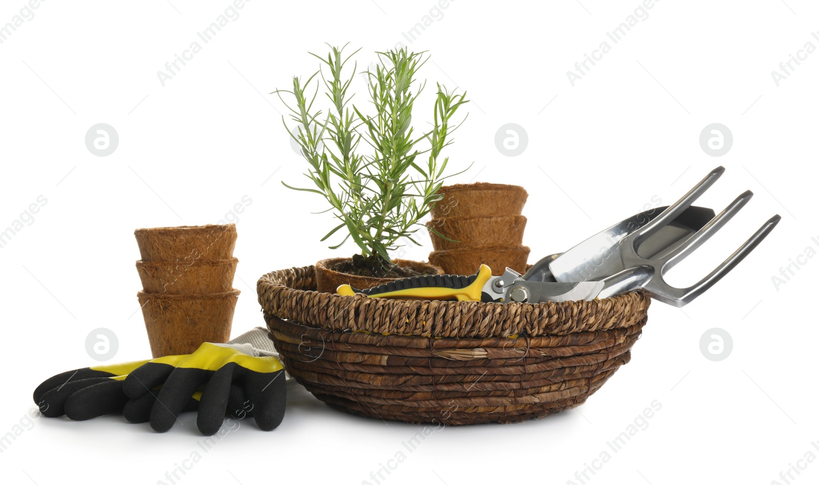 Photo of Different modern gardening tools on white background