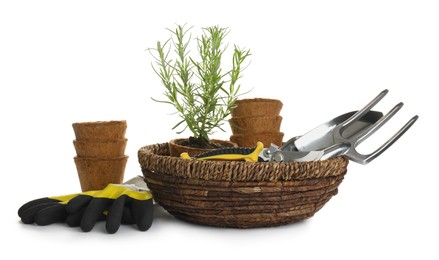 Photo of Different modern gardening tools on white background