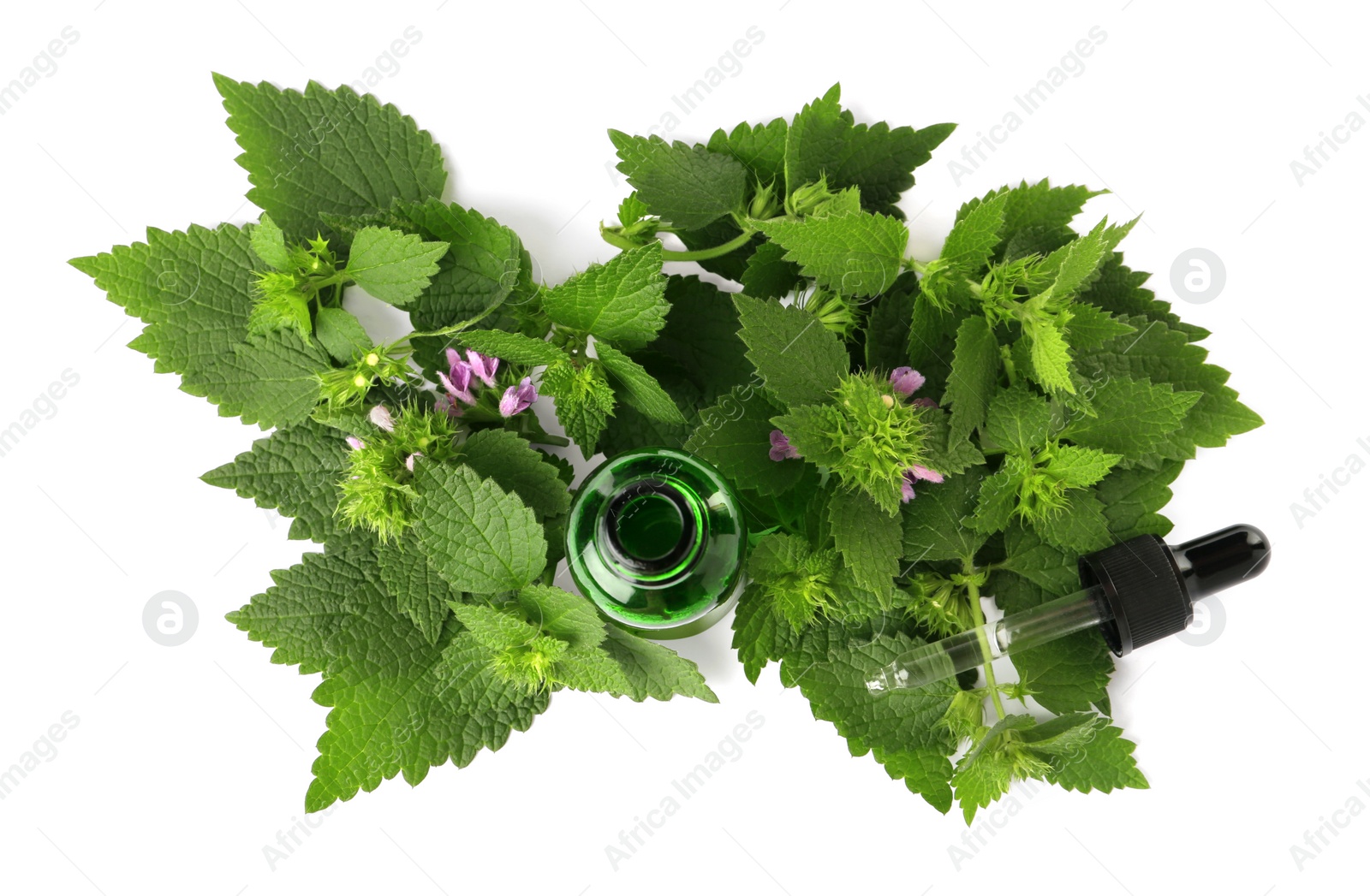 Photo of Glass bottle of nettle oil with dropper and leaves isolated on white, top view