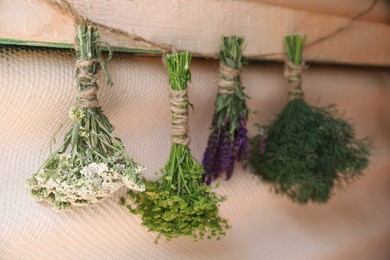Photo of Bunches of different beautiful dried flowers hanging on rope near beige wall