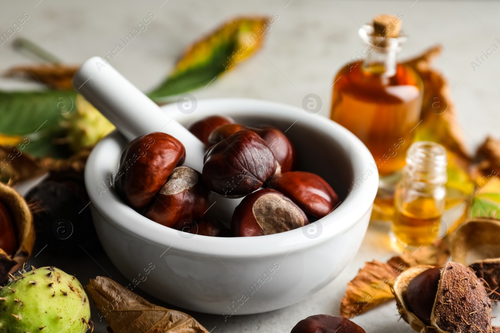 Photo of Horse chestnuts in mortar on grey table, closeup