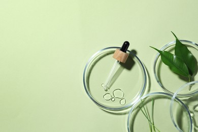 Flat lay composition with Petri dishes and plants on pale light green background. Space for text