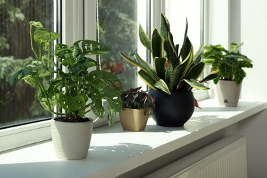 Photo of Beautiful houseplants on white window sill indoors