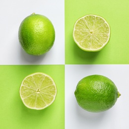 Flat lay composition with fresh limes on color background