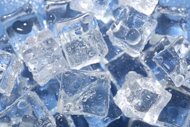 Melting ice cubes and water drops on blue background, above view