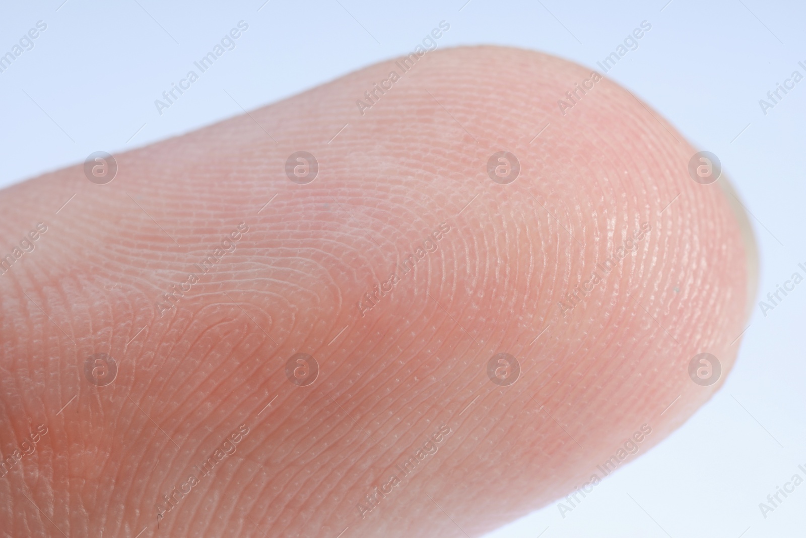 Photo of Finger with friction ridges on light blue background, macro view