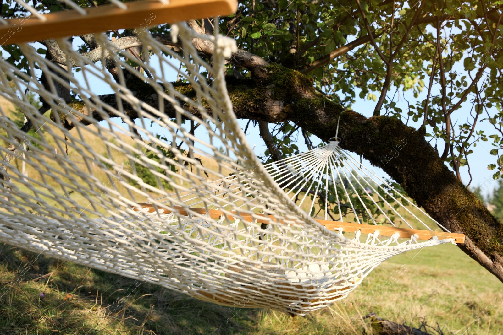 Photo of Comfortable net hammock outdoors on sunny day, closeup