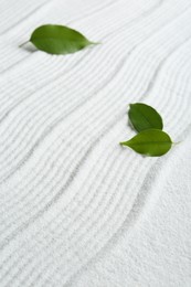 Zen rock garden. Wave pattern on white sand and green leaves, closeup