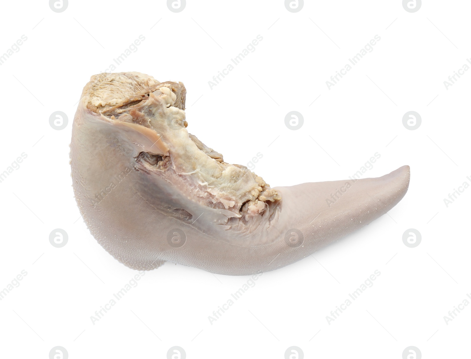 Photo of Cooked beef tongue isolated on white, top view