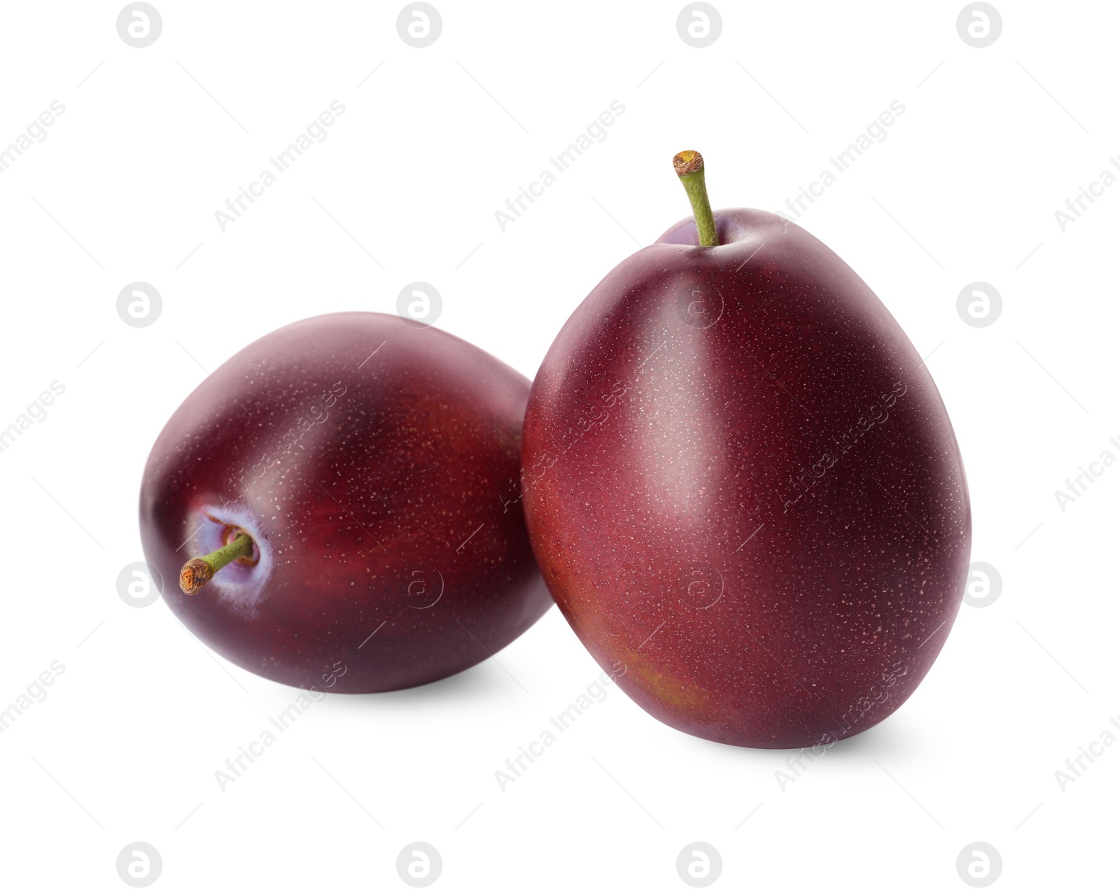 Photo of Delicious fresh ripe plums on white background