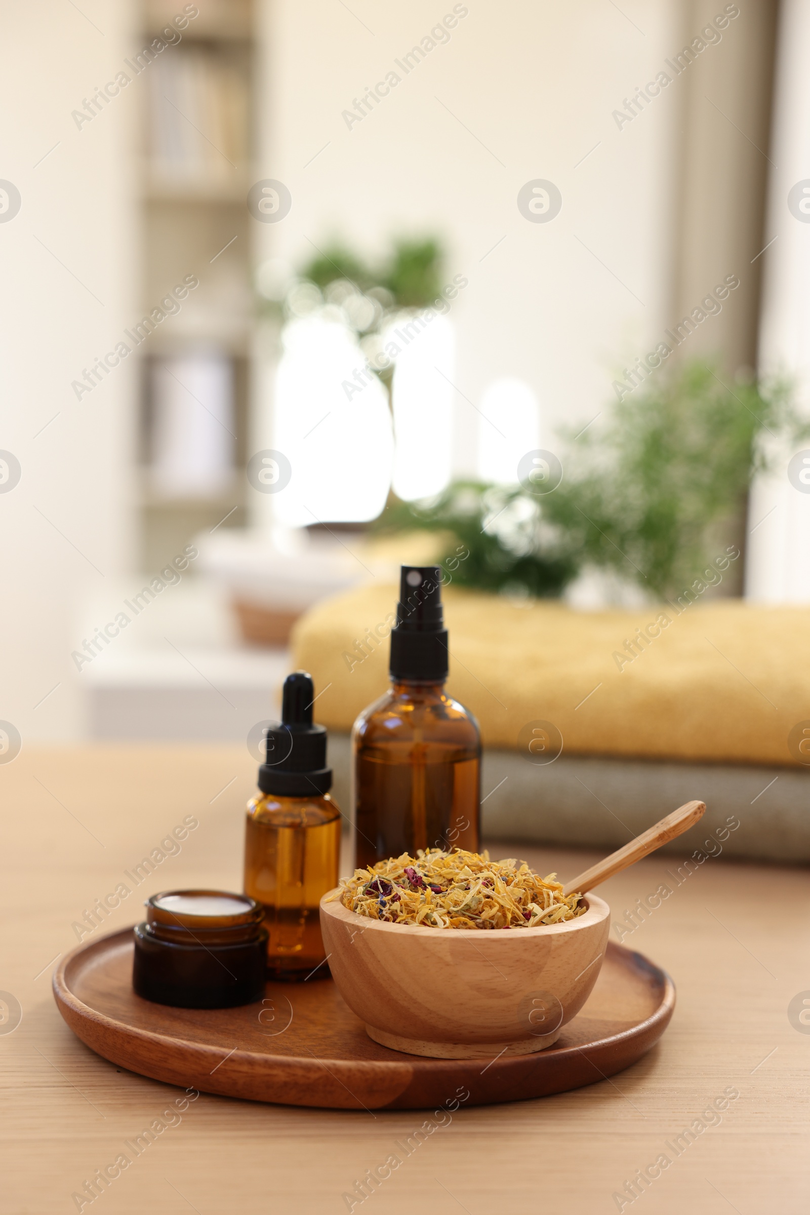 Photo of Dry flowers, bottles of essential oils and jar with cream on wooden table indoors, space for text. Spa time