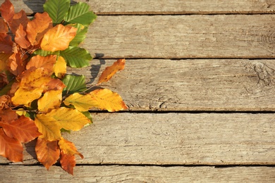 Photo of Bunch of bright autumn leaves on wooden background, top view with space for text