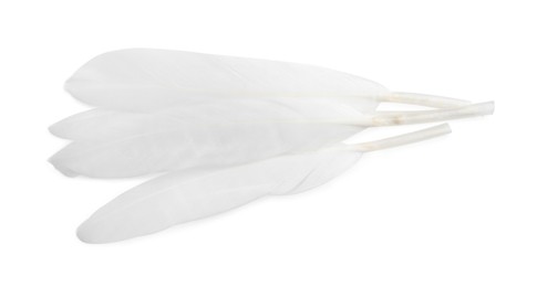 Photo of Beautiful fluffy bird feathers on white background, top view