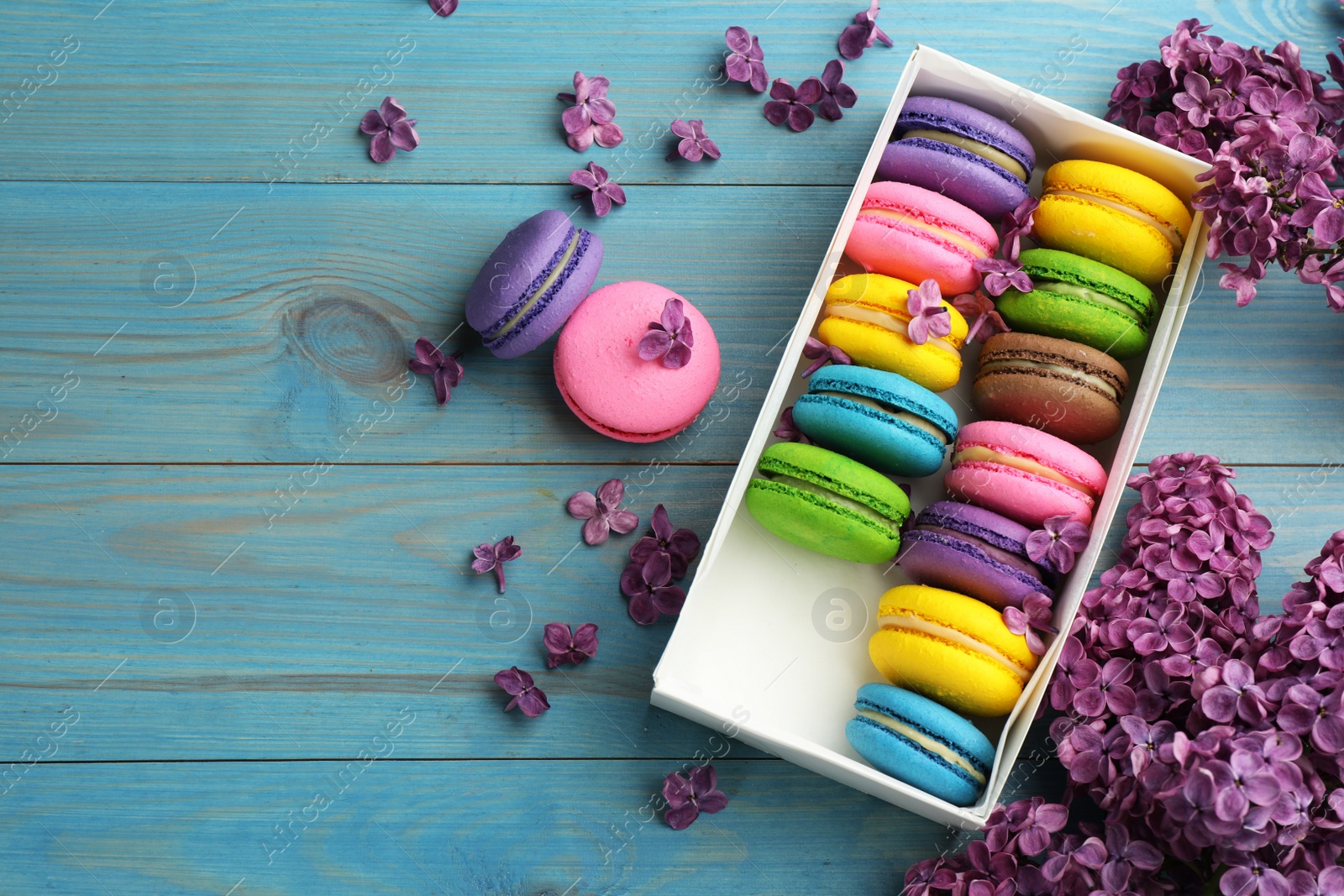 Photo of Delicious colorful macarons and flowers on light blue wooden table, flat lay. Space for text