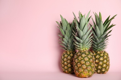 Photo of Ripe juicy pineapples on pink background. Space for text