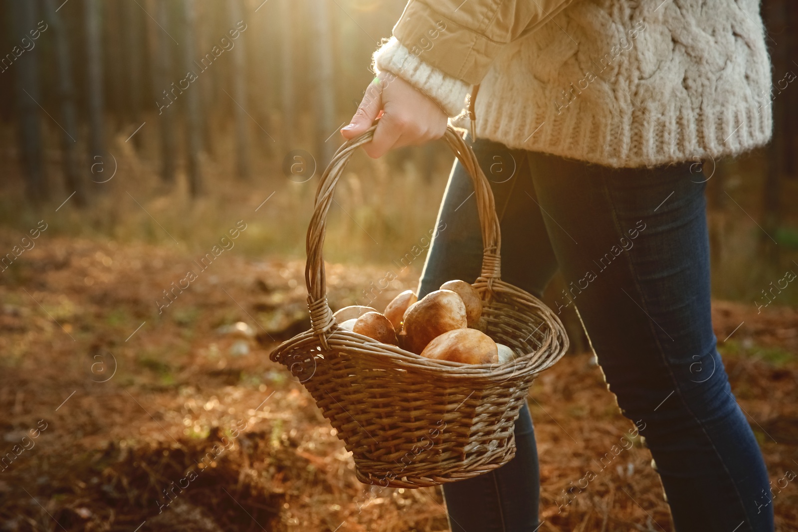 Photo of Woman carrying basket with fresh mushrooms in forest, closeup