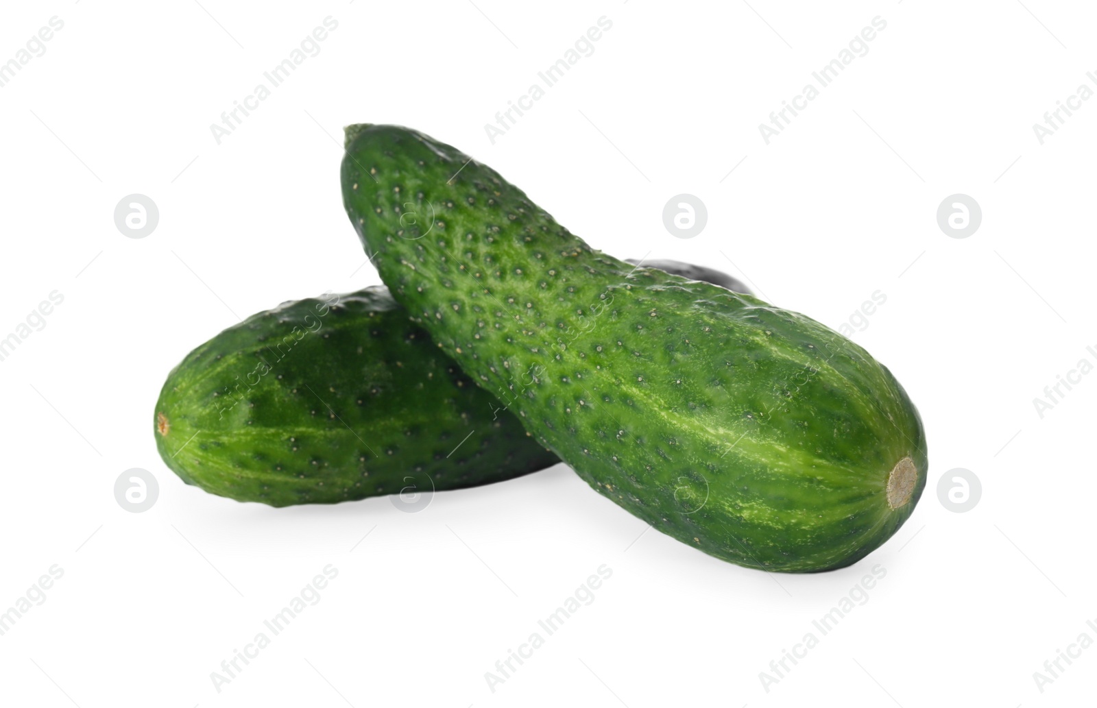 Photo of Whole fresh green cucumbers on white background