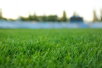 Photo of Green lawn with fresh green grass at stadium