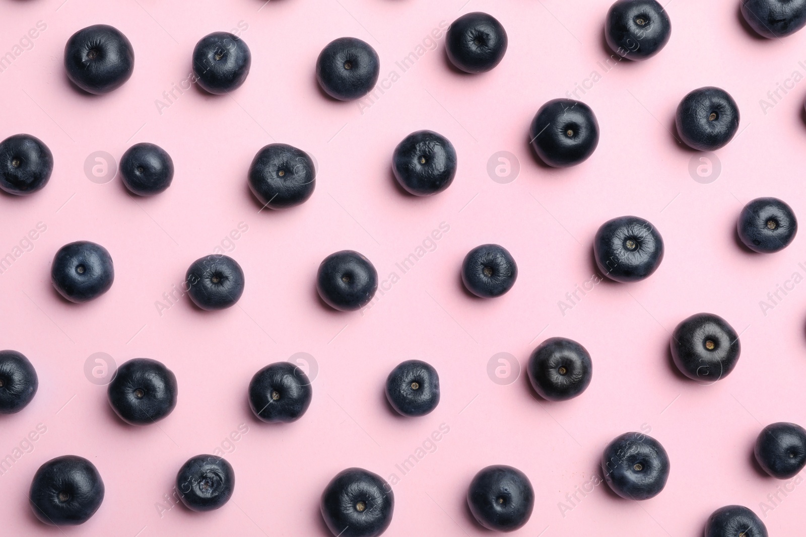 Photo of Fresh acai berries on pink background, flat lay