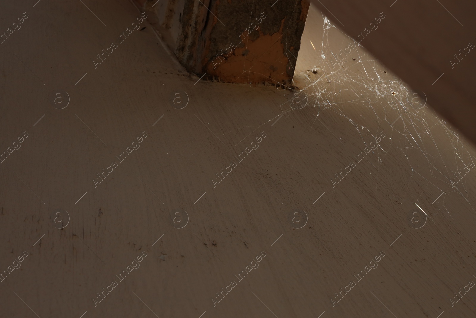 Photo of Cobweb on beige wall outdoors, low angle view. Space for text